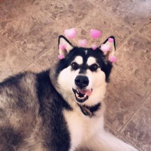 Meet your Posher, Marissa